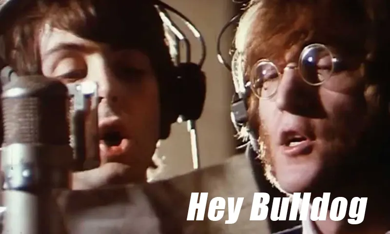 estreno Hey Bulldog