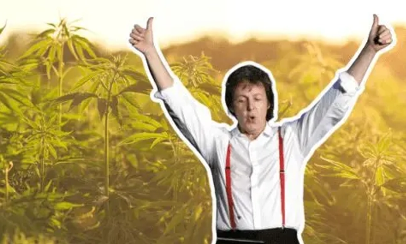 Paul enfrentará a un proceso el 8 de Marzo de 1973, acusado de cosechar marihuana en su granja cerca de Campbeltown